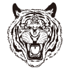 Bellender Tiger - Zeichnung – Bild 3