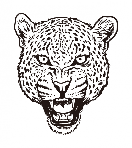 Barking Leopard / Panther / Jaguar / Cheetah / Puma / Drawing