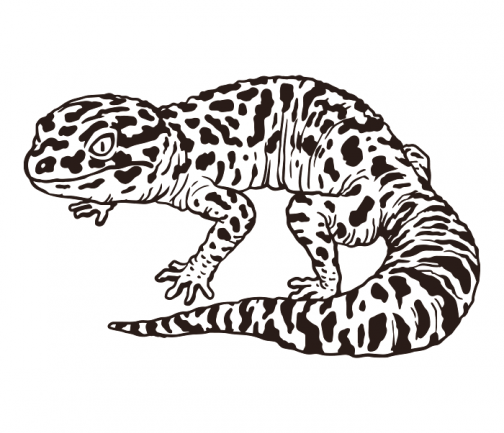 Luipaard gekko verlangt naar dinosaurussen / Tekening