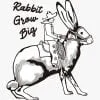 Le lapin devient grand – Image 2
