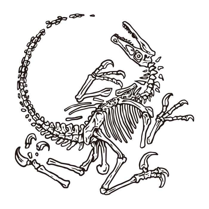 Dinosaur Velociraptor / fossil / Drawing | ai illustrator file | US$5.