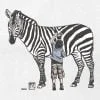 Pintura de rapaz com zebra / Desenho - Image 2