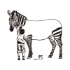 Pintura de rapaz com zebra / Desenho - Image 4
