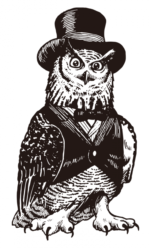Baron the Owl / Drawing