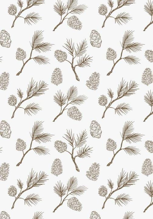 Pine cone pattern / Drawing