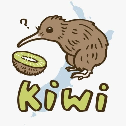 Ptak Kiwi i owoc Kiwi / Rysunek