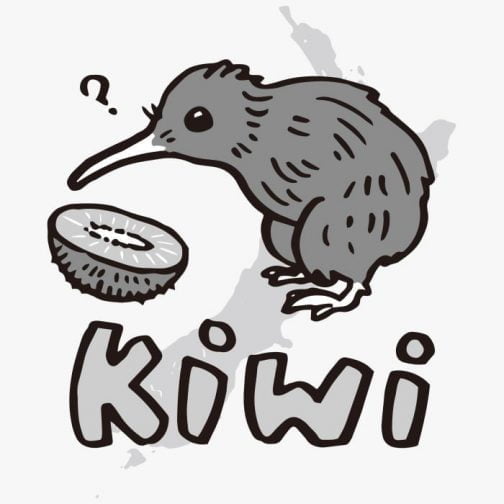 Ptak Kiwi i owoc Kiwi / Rysunek