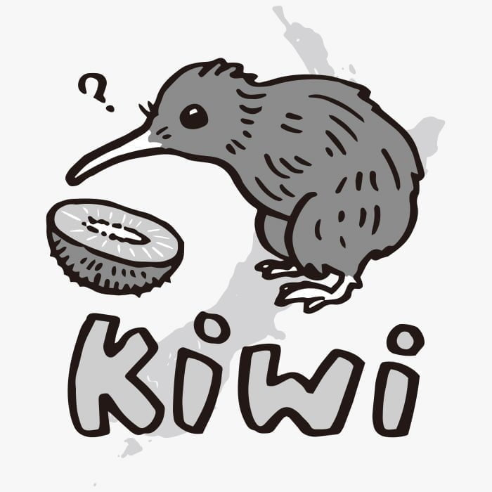 Bird Kiwi and Fruit Kiwi / Drawing, ai illustrator file, US$5.00 each