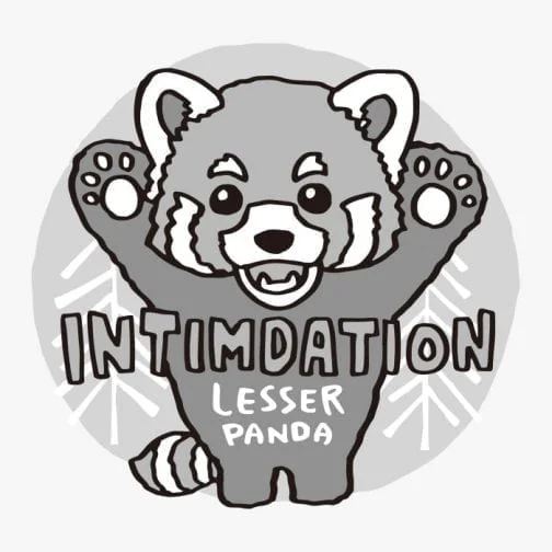 Panda rouge intimidant / Petit panda / Dessin