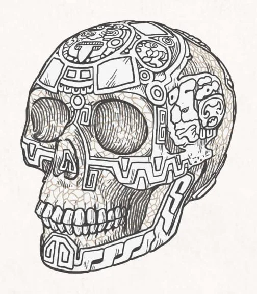 Cráneo con "Calendario Azteca" tallado / Maya / Motivo histórico