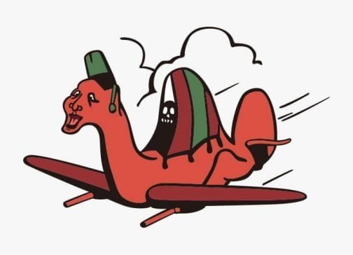 Free travel on a camel plane
