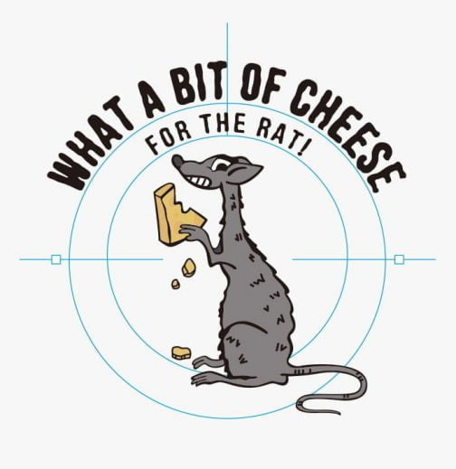 Ratte beißt Käse