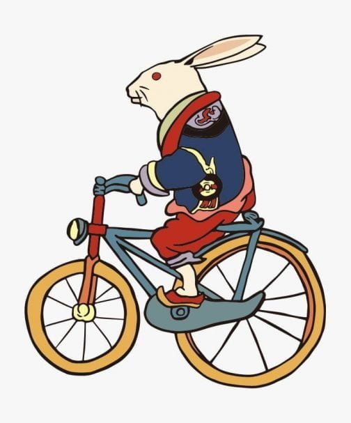 साइकिल की सवारी करते हुए खरगोश