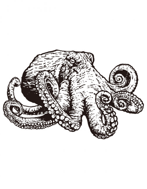 Kraken / King octopus / Drawing / Logo