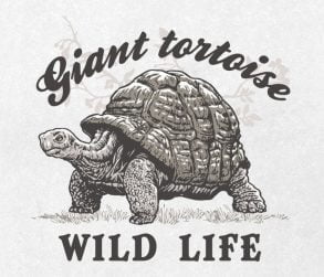 Giant tortoise / Drawing | ai illustrator file | US$5.00 each | Ai ...