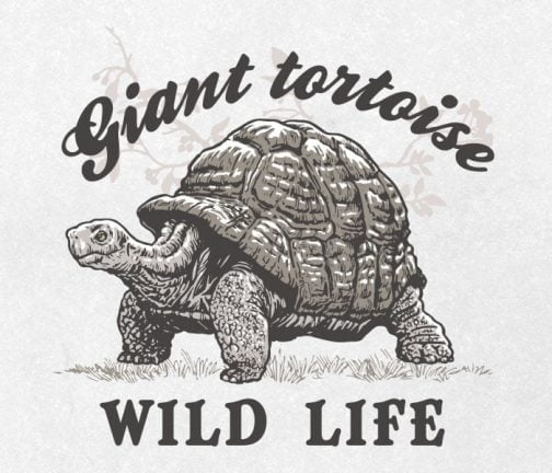 Гигантская черепаха / Рисунок