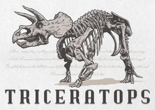 Triceratops / Whole body / skeleton / Drawing