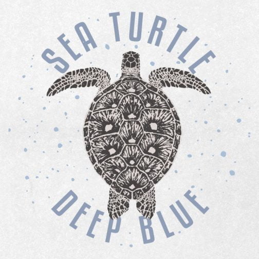 Sea turtle 02 / Drawing