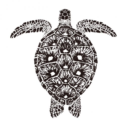 Sea turtle 02 / Drawing
