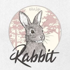 Rabbit 01 / Drawing