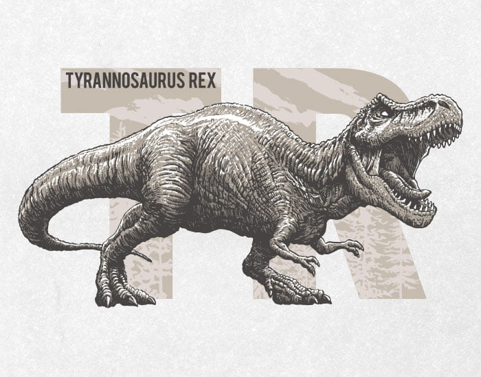 Dinossauro Tyrannosaurus Rex 03 / Corpo inteiro / Desenho, ai illustrator  file, US$5.00 each