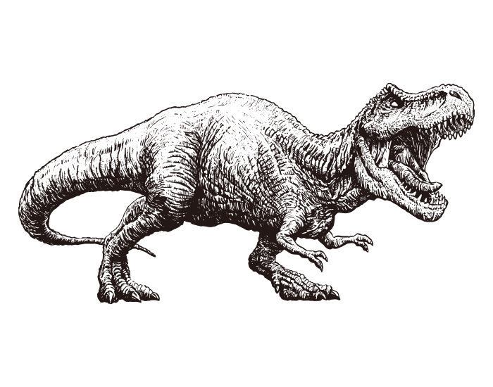 Dinossauro Tyrannosaurus Rex 03 / Corpo inteiro / Desenho, ai illustrator  file, US$5.00 each