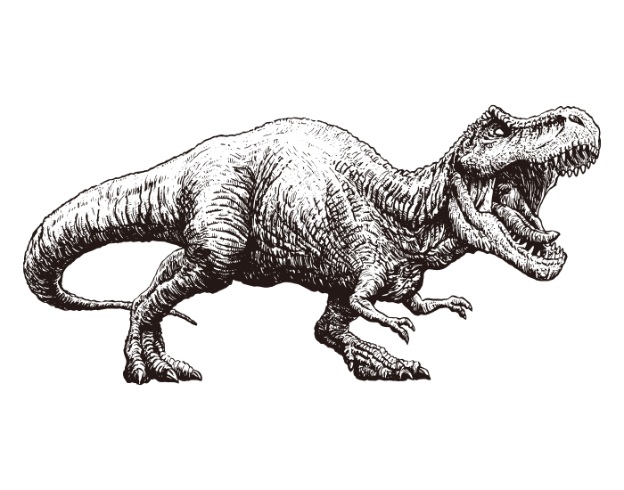 Dinossauro Tyrannosaurus Rex 03 / Corpo inteiro / Desenho