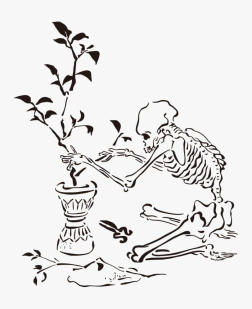 Skelett mit Blumen / Zeichnung von Kawanabe Kyosai