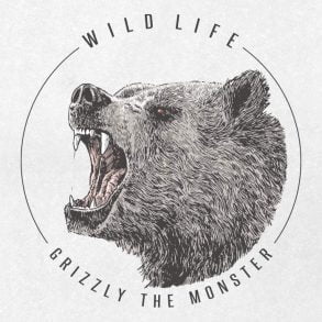 Grizzly 01 / Drawing