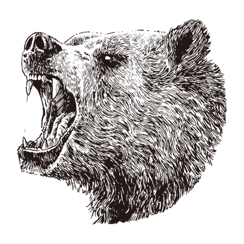 หมีกริซลี่ 01 / ภาพวาด