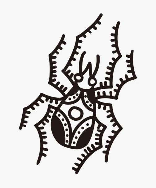 Aranha Tradicional Americana / Desenho