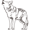 Lobo / lobo rastejante / lobo uivante / Desenho - Image 2