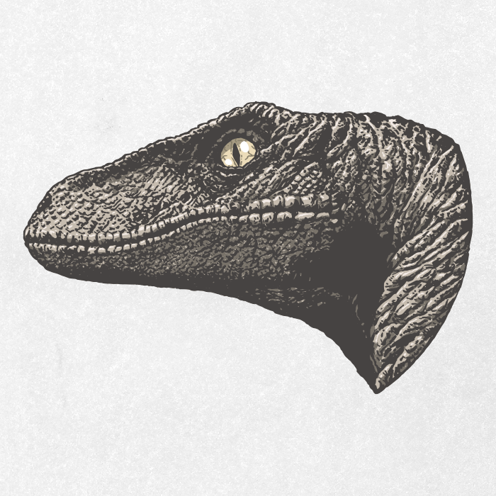 Dinossauro Velociraptor / rosto / cabeça / Desenho