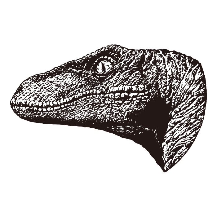 Dinossauro de desenho realista de cabeça de velociraptor