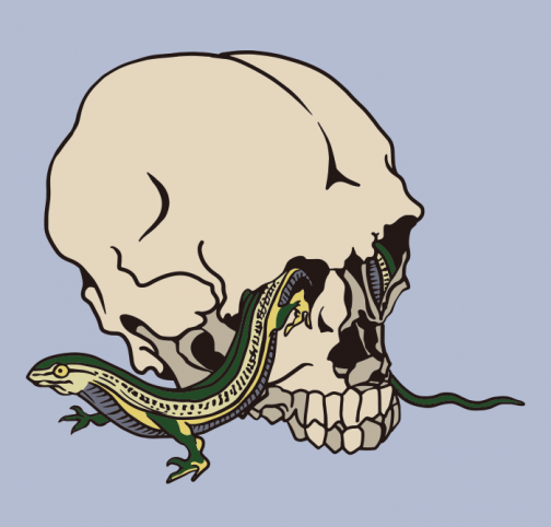 Calavera y lagarto / Dibujo de Kawanabe Kyosai