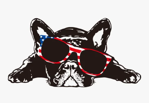 Französische Bulldogge / Zeichnung