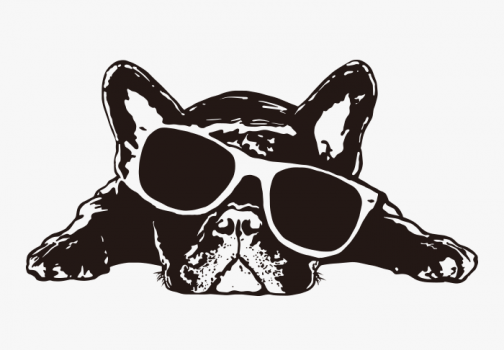Französische Bulldogge / Zeichnung