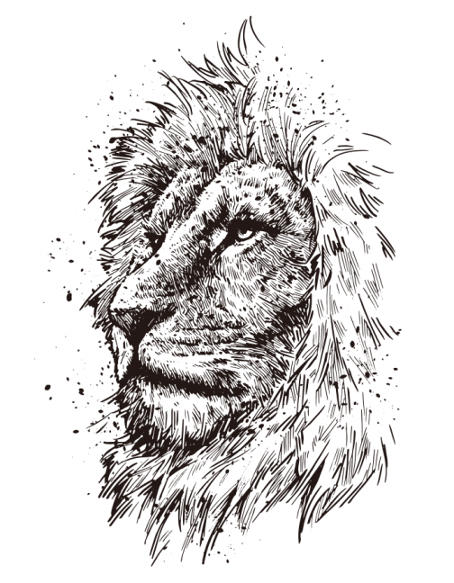 Male lion in the gray canvas / Drawing