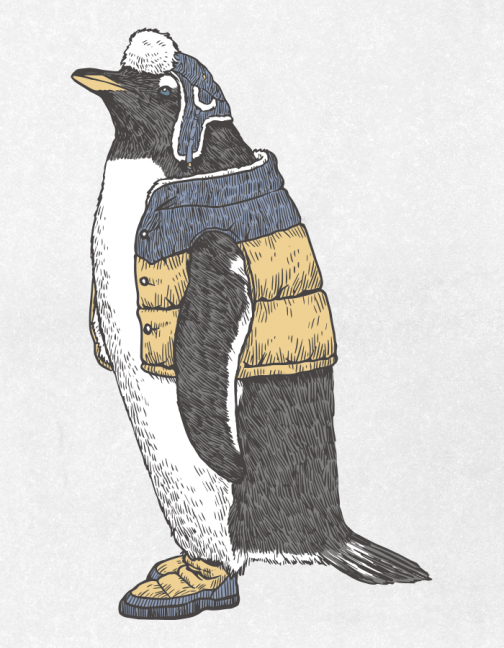 Pingüino Gentoo a la moda / Dibujo
