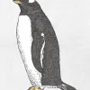 Pinguim Gentoo Fashionable / Desenho - Image 2