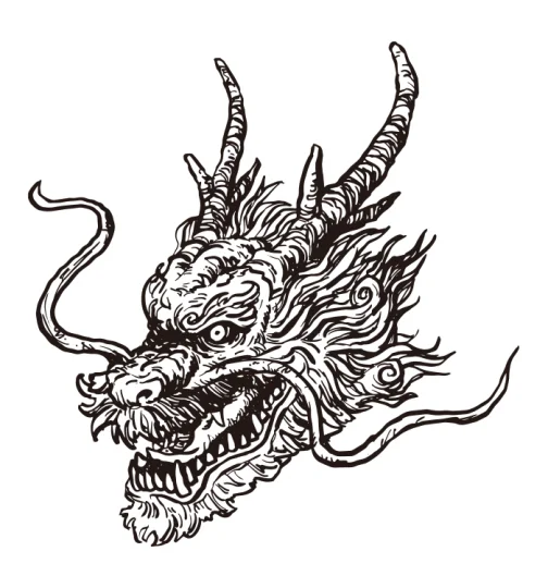 Cabeza de dragón japonés 01 / Dibujo