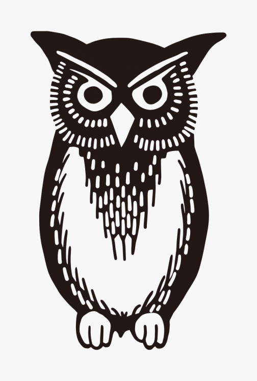 Owl Illustration / Drawing
