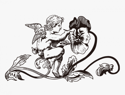 Ángel / Cupido / Dibujo