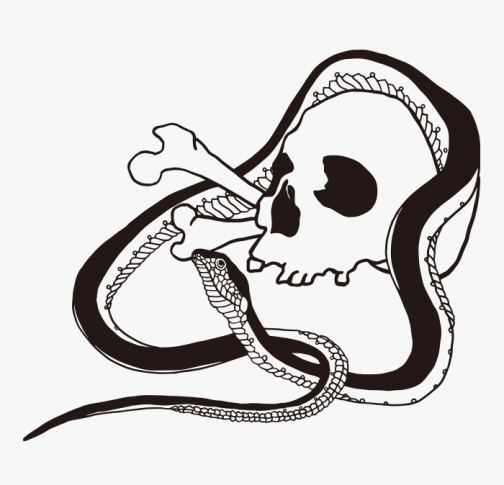 Schlange & Schädel Zeichnung