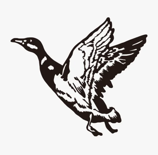 Retro-Stil Ente Zeichnung