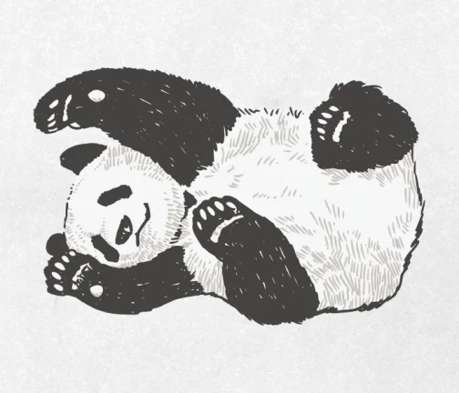 Dibujo del panda 01
