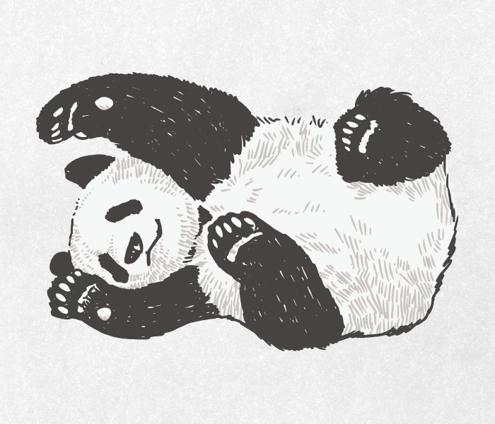Desenho panda em promoção