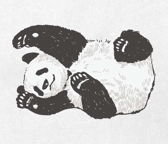 Panda Drawing 01 Ai Illustrator File Us 5 00 Each Ai Png File