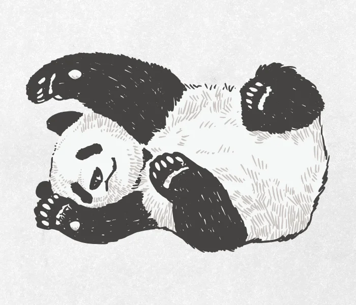 Desenho Panda 01, ai illustrator file, US$5.00 each