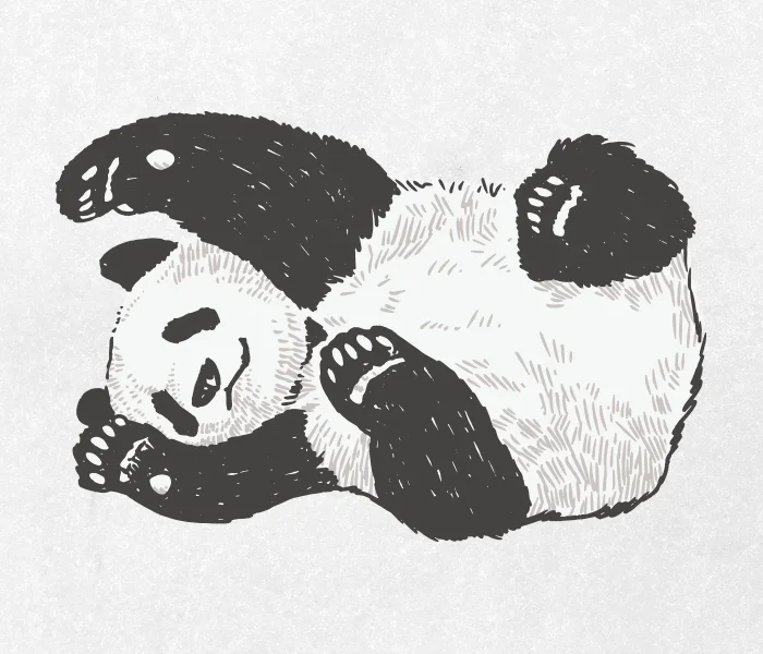 Desenho Panda, Download Grátis, Desenho, Vetor